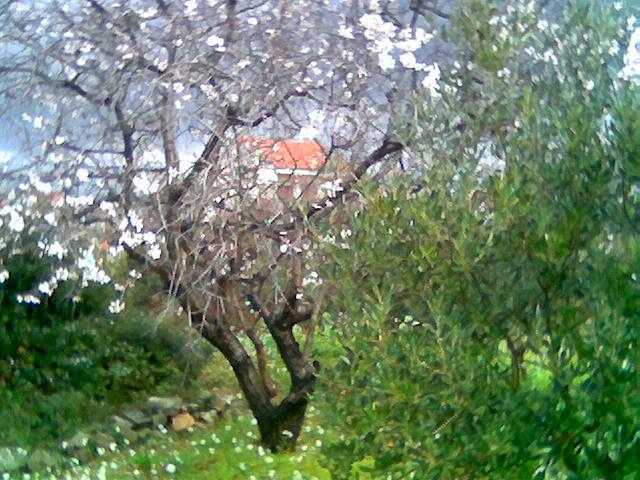 image003.jpg