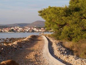 newpath1